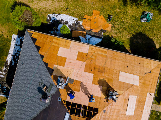 Best Roof Gutter Cleaning  in Westville, OK