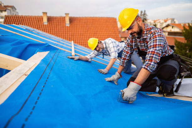 Roof Gutter Cleaning in Westville, OK
