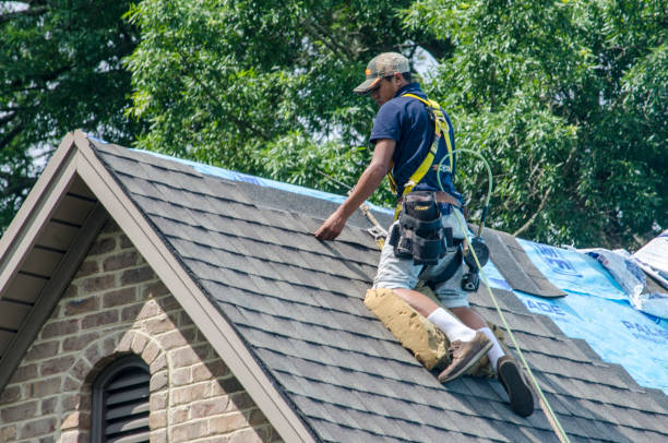 Best New Roof Installation  in Westville, OK